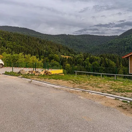 звездопад *