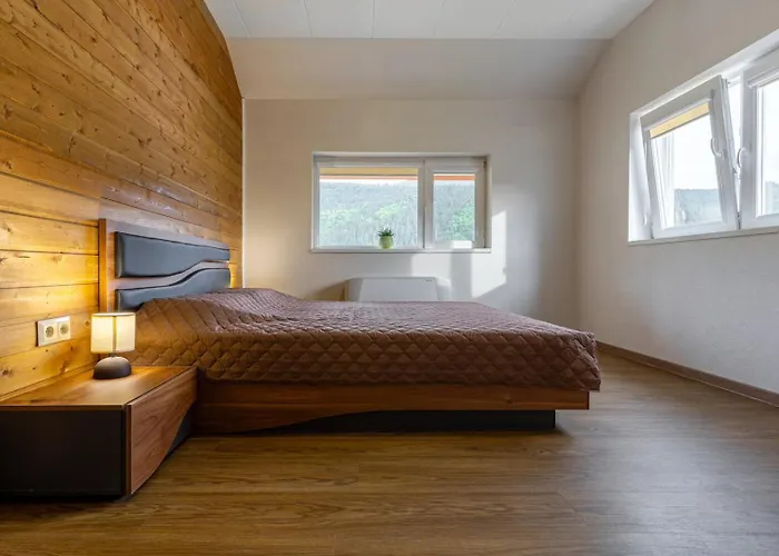 звездопад Manastir